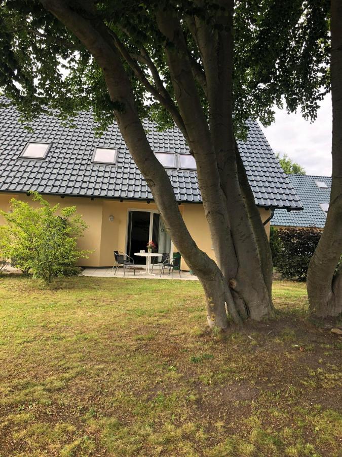 Ferienwohnung 'Bei Den Buchen' Zempin Bagian luar foto